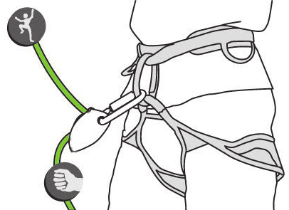 An assisted braking belay device rigged to a harness belay loop, with the climber strand and brake strand marked (© Petzl)