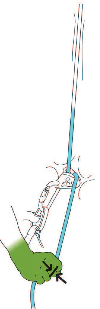 Detail of the brake hand gripping the brake strand below an assisted braking device (© Petzl)