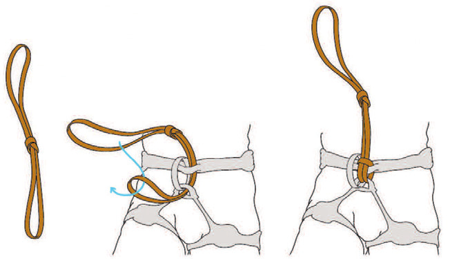 A girth hitch used to attach a sling to the tie-in points of a harness (© Petzl)