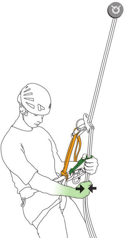 A two-wrap prusik backing up a rappel on a doubled rope (© Petzl)