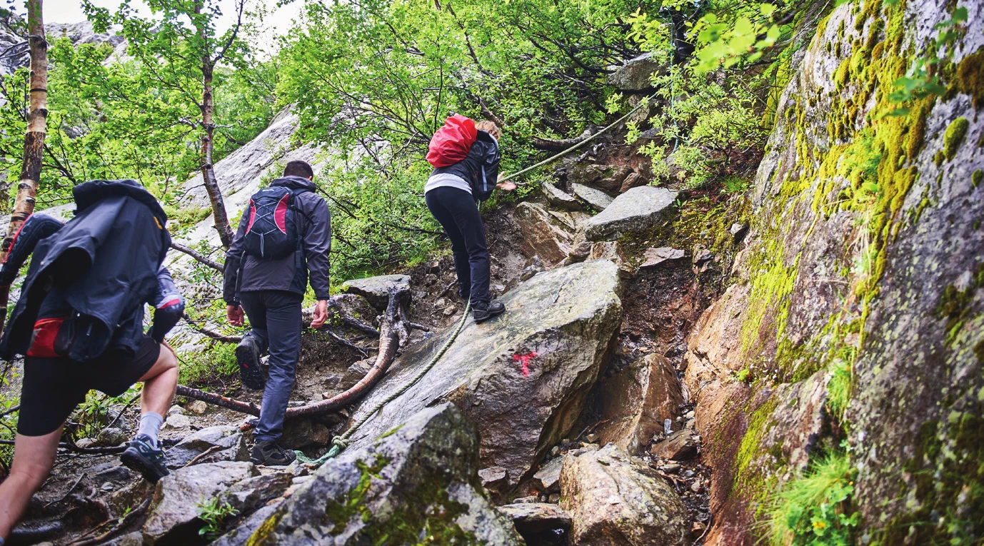 Un groupe marchant en file indienne sur un sentier d’approche rocheux en forêt