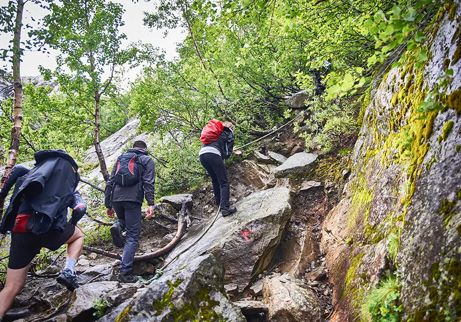 Quatre grimpeurs franchissant un sentier d’approche boisé et escarpé le long d’une paroi rocheuse moussue, en s’aidant d’une corde fixe